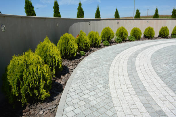 Best Residential Paver Driveway  in Ladd, IL