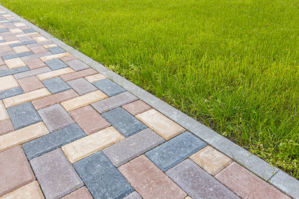 Best Professional Driveway Pavers  in Ladd, IL